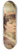 Thobald Chartran - Portrait ddile Riquer 8.25 inch art skate deck