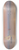 Thomas Alexander Harrison - Bragozzos in calm waters, Venice 8.25 inch art skate deck
