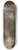 Thomas Cole - A Wild Scene 8.25 inch art skate deck