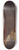 Thomas Cole - From the Top of Kaaterskill Falls 8.25 inch art skate deck