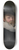 Thomas de Keyser - Portrait of a Man with a Shell 8.25 inch art skate deck