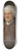 Thomas Gainsborough - Portrait of Sir John Pringle, 1st Baronet (17071782) 8.25 inch art skate deck