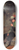 Thomas Le Clear - Buffalo Newsboy 8.25 inch art skate deck