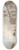 Thomas Malton the Younger - Banqueting House, Whitehall 8.25 inch art skate deck
