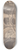 Thomas Malton the Younger - Interior of St. Pauls Cathedral 8.25 inch art skate deck