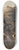 Thomas Sidney Cooper - Study Of A Rams Head 8.25 inch art skate deck