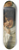 Tito Conti - A Pleasant Reflection 8.25 inch art skate deck