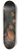 Tobias Stranover - A split melon, peaches, plums, grapes, apples and currants with a parrot and a bullfinch, a mountainous landscape beyond 8.25 inch art skate deck
