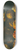 Tommaso Realfonso - Still Life with Pomegranates, Grapes, Birds and a Squirrel 8.25 inch art skate deck