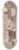 Toyokuni Utagawa - Kataoka Nizaemon VII and Ichikawa Yaozo III in a Confrontation Beside a Waterfall 8.25 inch art skate deck