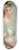 Vittorio Matteo Corcos - The flower basket 8.25 inch art skate deck