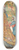 Walter Crane - Beauty and the beast Pl. 04 8.25 inch art skate deck
