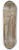 Wilhelm Von Schadow - Female nude, standing 8.25 inch art skate deck
