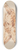 Willem Panneels - Anatomical Study (corchs). Walking flayed man turned to the left 8.25 inch art skate deck