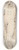 Willem Panneels - Forsiden af den antikke skulptur Belvedere Antinous set halvt vendt mod venstre 8.25 inch art skate deck
