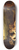 Willem Van Mieris - Cimon and Iphigenia 8.25 inch art skate deck