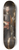 Willem Wissing - Portrait of a Boy 8.25 inch art skate deck