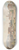 Willey Reveley - Ruins in Rome with Goats, Cows and Herdsmen 8.25 inch art skate deck