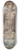 William Blake - The Great Red Dragon and the Beast from the Sea 8.25 inch art skate deck