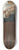 William Bouguereau - Jeune bergre debout 8.25 inch art skate deck