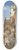 William Callow - Corso Sant Anastasia with the Palazzo Maffei in Verona 8.25 inch art skate deck