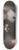 William Dobson - Portrait of a Family, Probably that of Richard Streatfeild 8.25 inch art skate deck