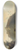 William Hodges - The Fort of Bidjegur 8.25 inch art skate deck