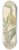 William Jackson Hooker - Catasetum tridentatum 8.25 inch art skate deck