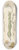 William Jackson Hooker - Cuscuta verrucosa 8.25 inch art skate deck