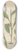 William Jackson Hooker - Goodyera procera 8.25 inch art skate deck