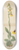 William Jackson Hooker - Ophrys lutea 8.25 inch art skate deck