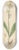 William Jackson Hooker - Polystachia luteola 8.25 inch art skate deck