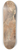 William James Mller - Ilos, Lycia 8.25 inch art skate deck