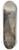 William Keith - Yosemite Falls, from Glacier Point 8.25 inch art skate deck
