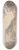 William Marlow - Tivoli 8.25 inch art skate deck