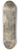 William Taverner - Nymphs Bathing in a Wooded Glade 8.25 inch art skate deck
