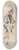 Will R. Barnes - Pages 8.25 inch art skate deck