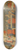 Workshop of the Erri Brothers - Salome Presenting The Head Of St. John The Baptist To King Herod 8.25 inch art skate deck