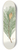 Aylmer Bourke Lambert - Pinus massoniana = Indian pine 8.25 inch art skate deck