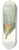 Aylmer Bourke Lambert - Pinus palustris = Swamp pine 8.25 inch art skate deck