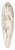 Adolf Sternschuss - akt stojcej kobiety z uniesionymi domi 39.3 inch art pintail longboard deck