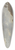 Aelbert Cuyp - River Landscape with Cows 39.3 inch art pintail longboard deck