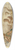 After Correggio - Saint Peter and other Seated Apostles, with Saint John the Evangelist Below 39.3 inch art pintail longboard deck
