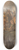 Barend Wijnveld - The heroic defense of Aardenburg, Anno 1672 8.25 inch art skate deck