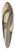 Albert Frans Lieven De Vriendt - The Architect Jan van Oudenaerde 39.3 inch art pintail longboard deck