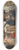 Bartholomeus van der Helst - Militia Company of District VIII under the Command of Captain Roelof Bicker 8.25 inch art skate deck