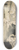Bartholomus Dietterlin - Raub der Europa 8.25 inch art skate deck