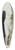 Albrecht Drer - Proportion study of female nude with a shield 39.3 inch art pintail longboard deck