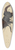 Albrecht Drer - Stag Beetle 39.3 inch art pintail longboard deck