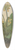 Albrecht Drer - Tuft of Cowslips 39.3 inch art pintail longboard deck